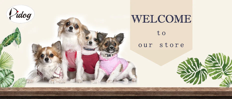 Personalized Dog Collar Adjustable Puppy Dogs Collars Pet Custom ID Necklace With Bowknot Cute For Small Medium Dogs Chihuahua