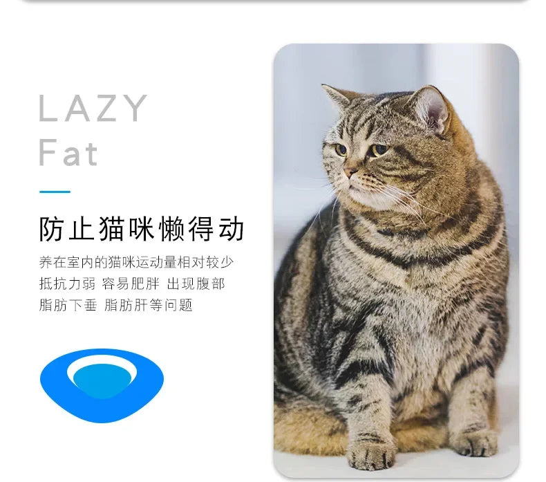 1PC Automatic Electric Bug Cat Toy Flips Moves Battery Operated Interactive PetToy for Cats Small Dogs Funny Beetle Play withLED