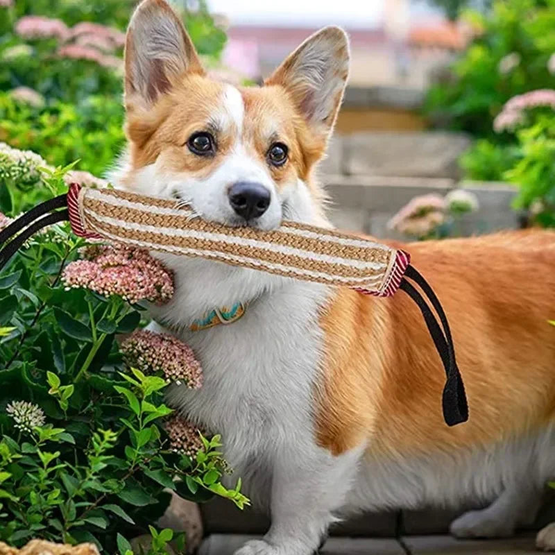 Tug of War Puppy Training Toy - Interactive Bite Pillow with 2 Handles