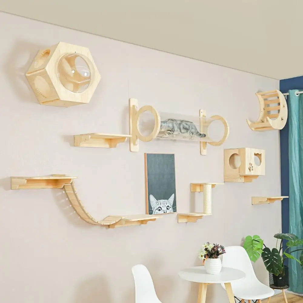 Wall Mounted Cat Shelves