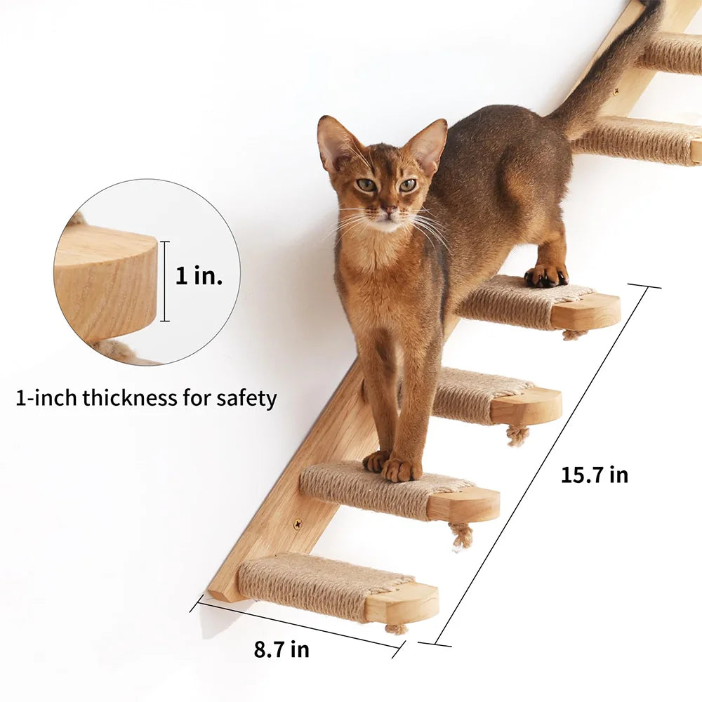 Wall Mounted Cat Shelves