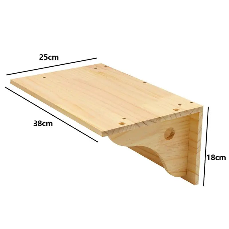 Wall Mounted Cat Shelves
