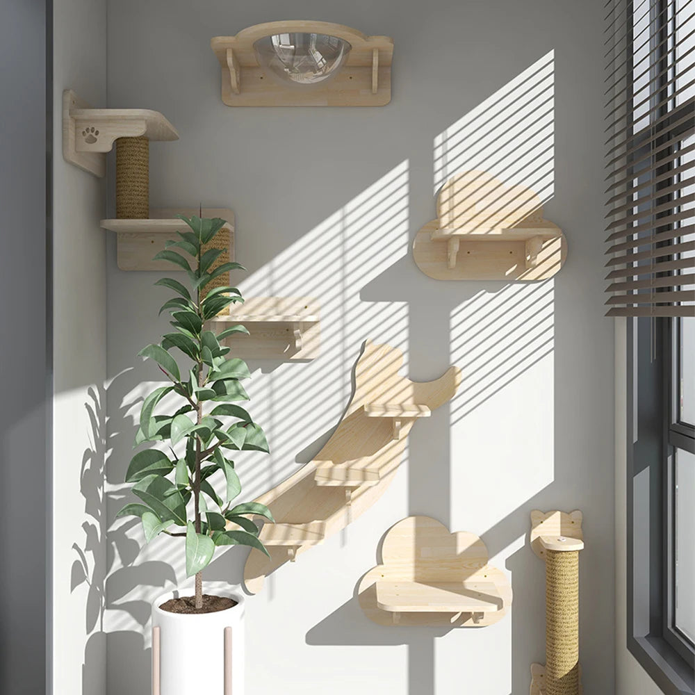 Wall Mounted Cat Shelves