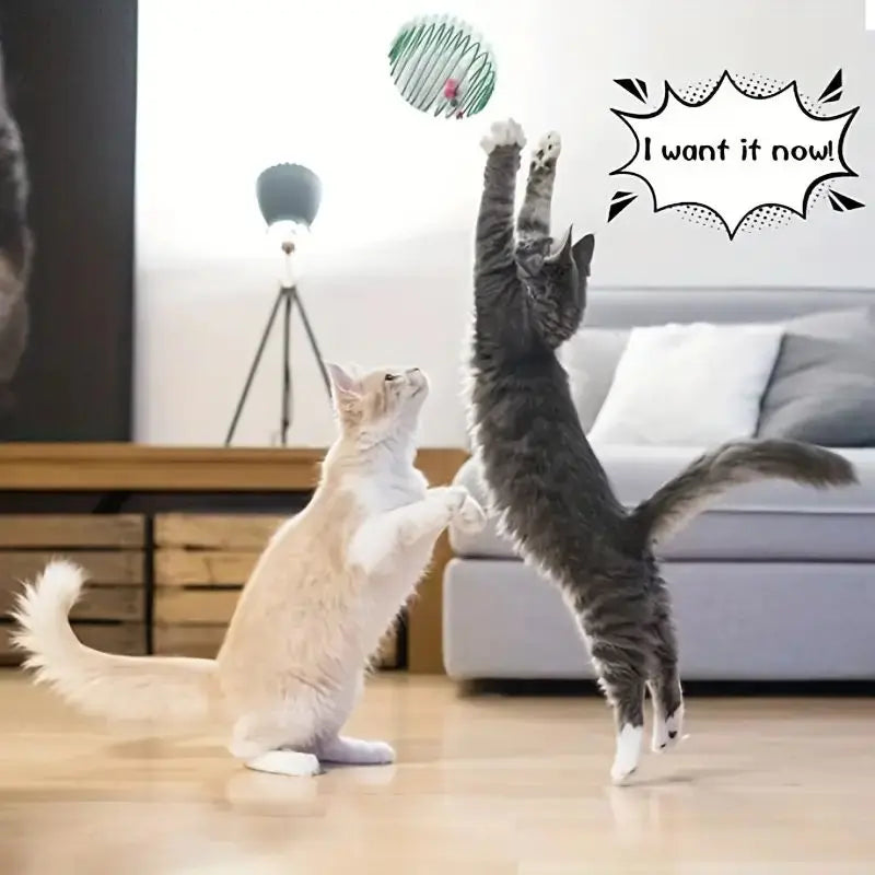 Interactive Cat Toy Ball Set - Spring & Caged Rat Toys