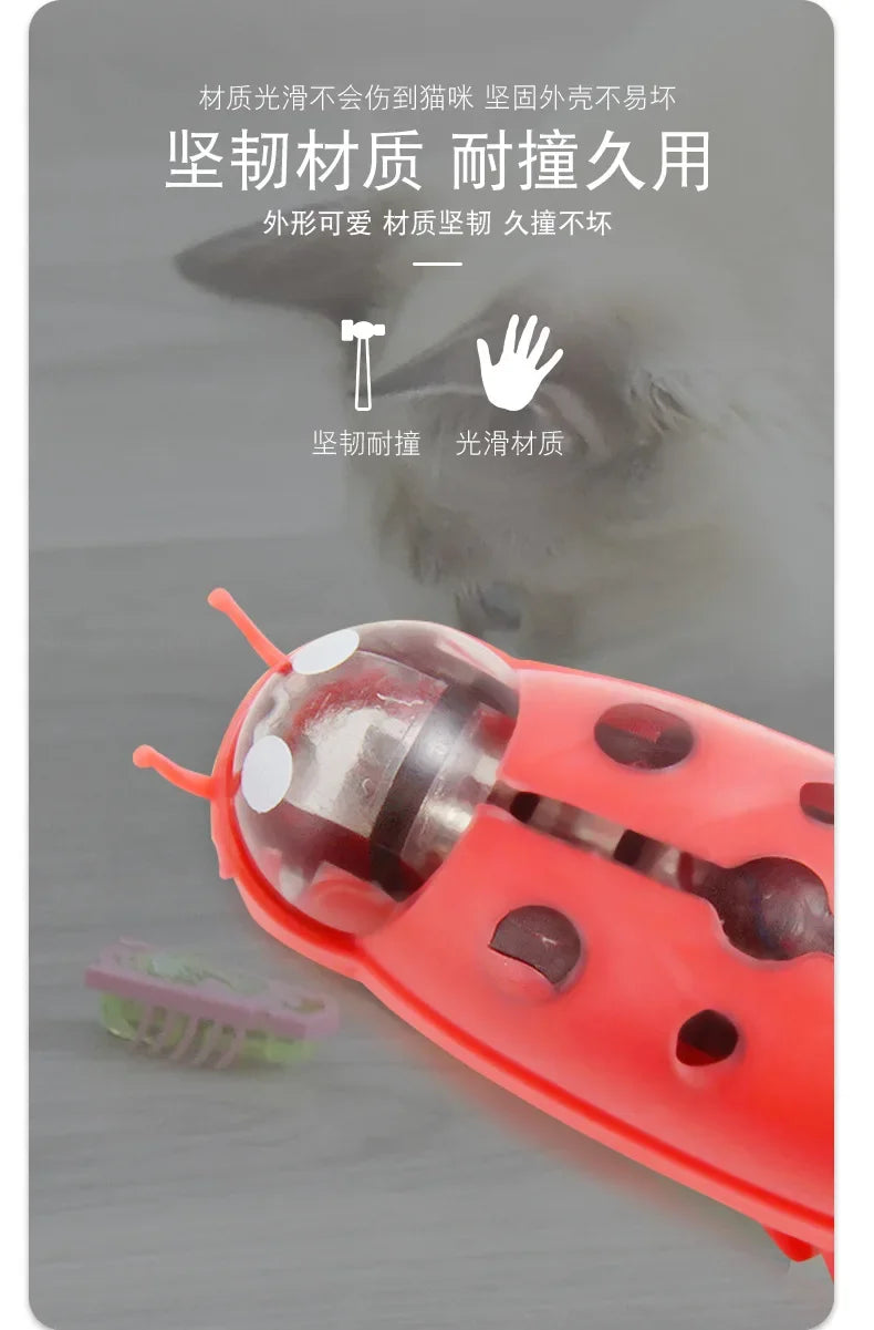 1PC Automatic Electric Bug Cat Toy Flips Moves Battery Operated Interactive PetToy for Cats Small Dogs Funny Beetle Play withLED