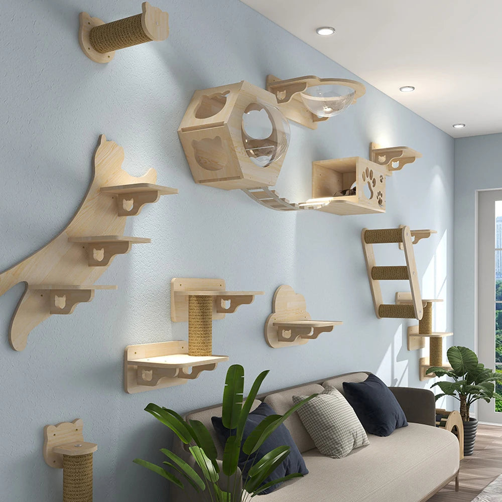 Wall Mounted Cat Shelves