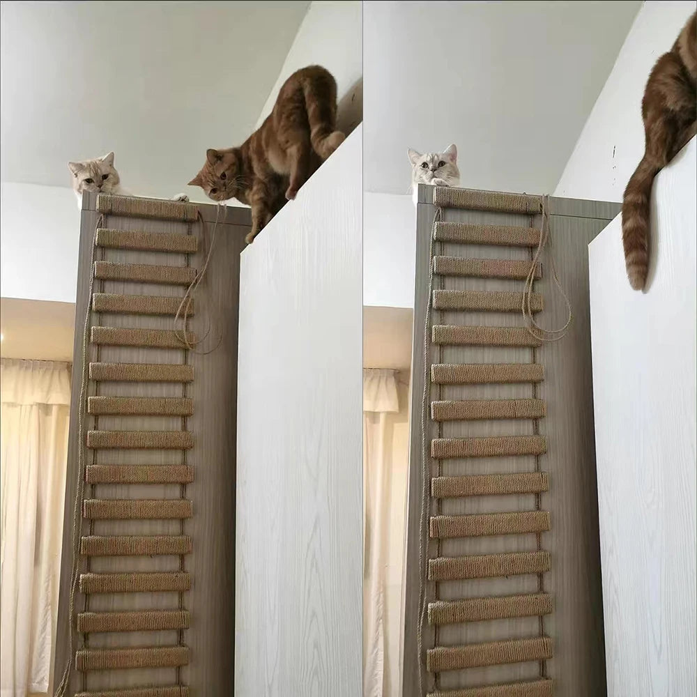 Cat Bridge Rope Ladder - Sisal Scratching Post