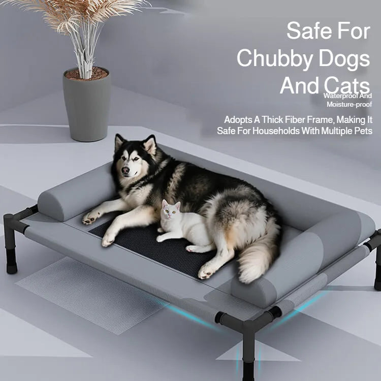 Medium and large cat and dog off-the-ground bed