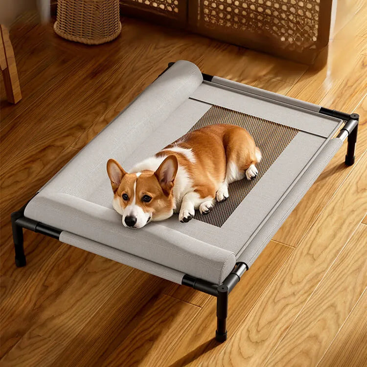 Medium and large cat and dog off-the-ground bed