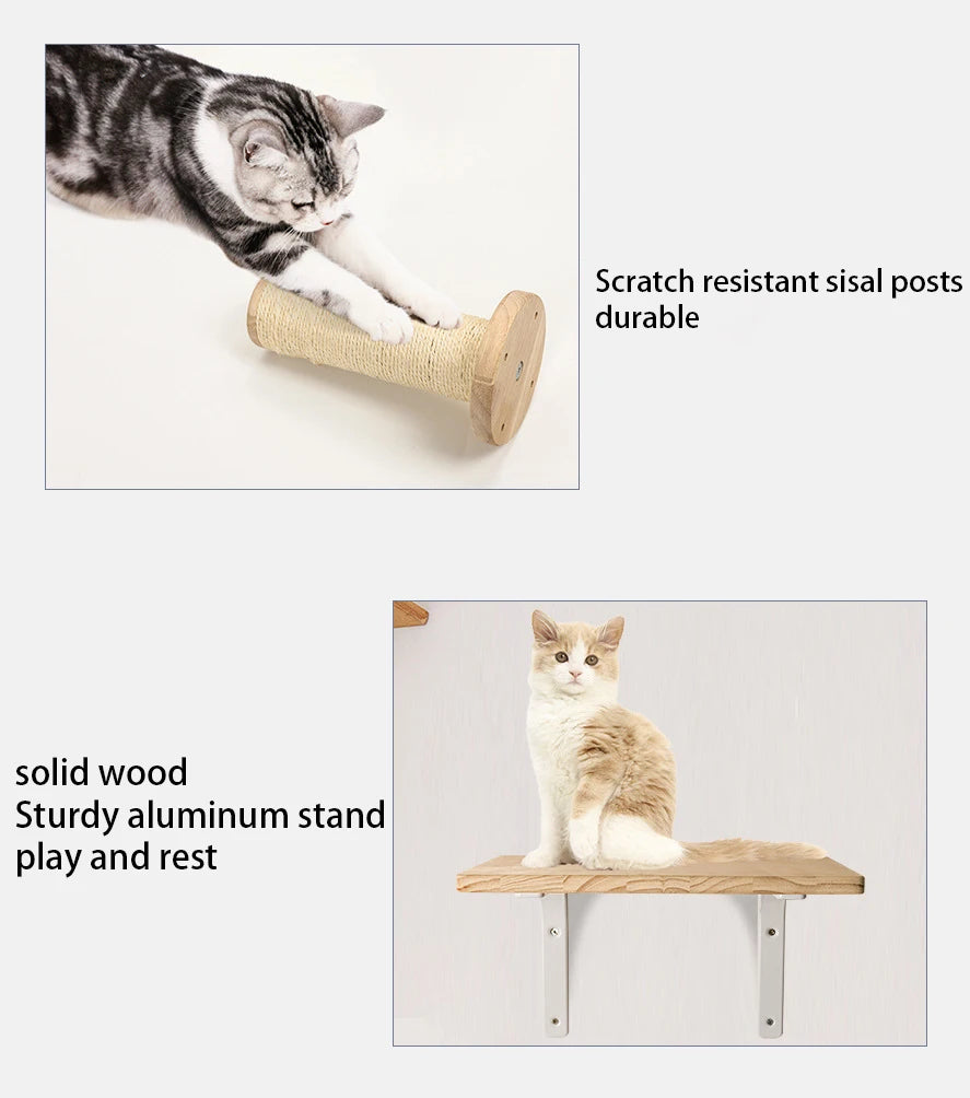 Wall Mounted Cat Shelves