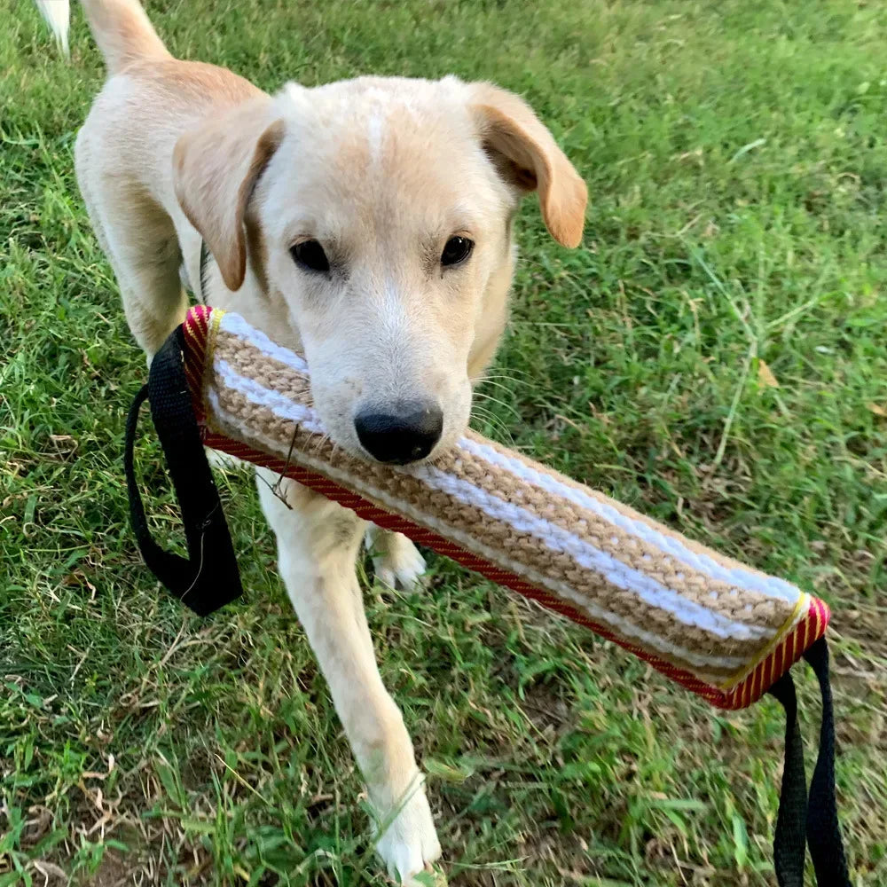 Tug of War Puppy Training Toy - Interactive Bite Pillow with 2 Handles