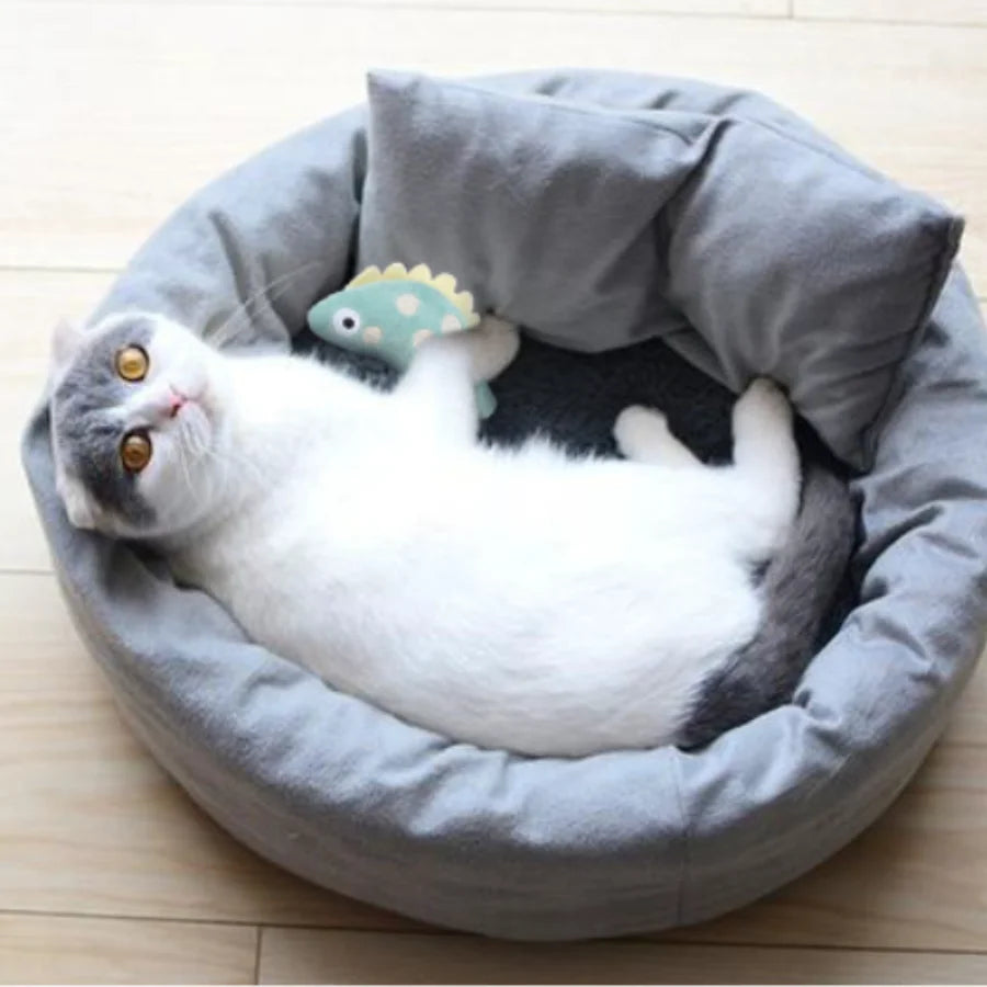 Cute Plush Cat Chew Toy - Interactive Molar Bite Toy