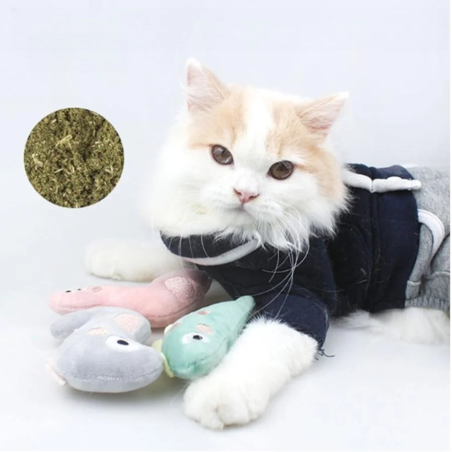 Cute Plush Cat Chew Toy - Interactive Molar Bite Toy