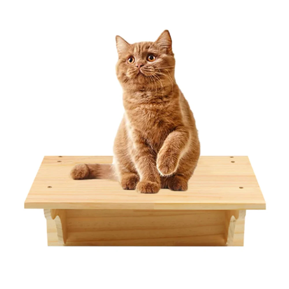 Wall Mounted Cat Shelves