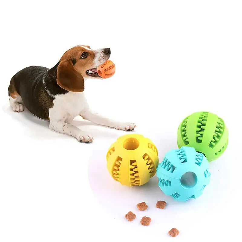 Why Your Dog Actually Needs That 'Weird' Toy (And How to Pick the Right One)