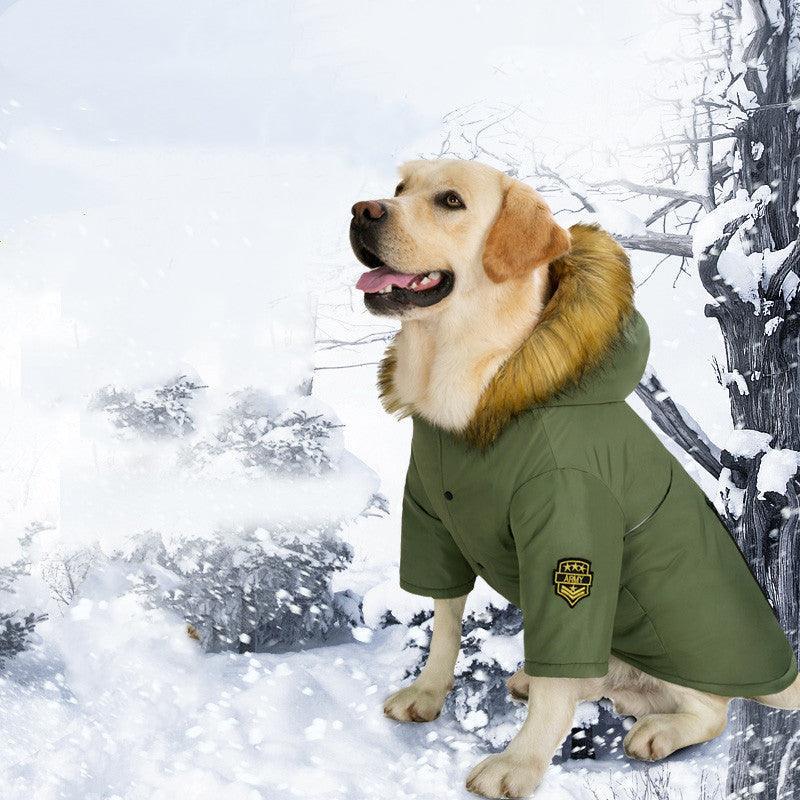 Essential Winter Pet Care Tips: Keep Your Furry Friends Safe & Cozy