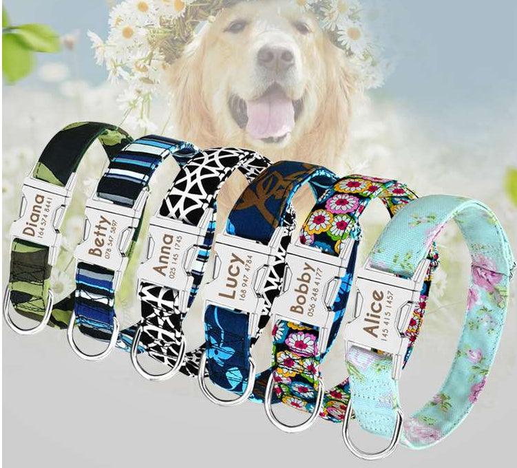 Collars, Leashes, Harnesses