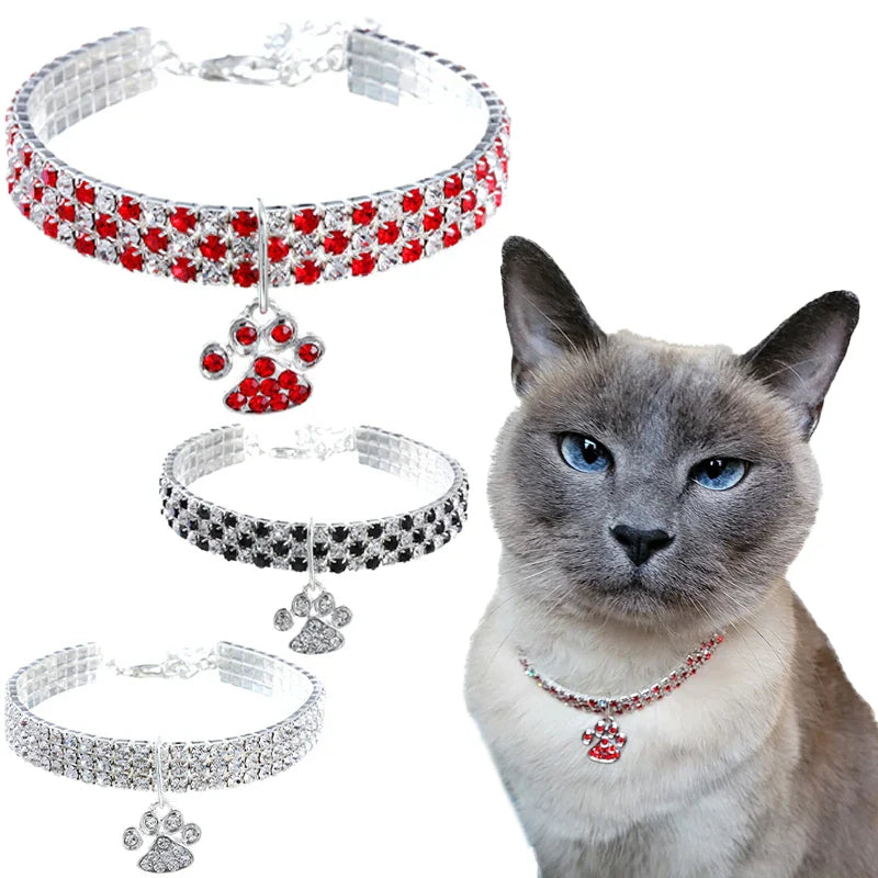 Cat Lover's Jewelry Box