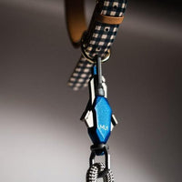 Patented Magnetic Dog Leash