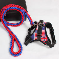 Ultimate Comfort Dog Harness-6
