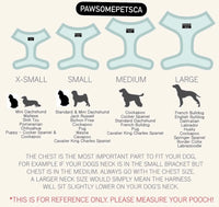 ADJUSTABLE HARNESS - AQUAMARINE-1