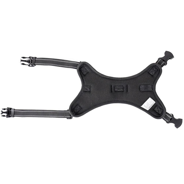 Luminous Canine Collar