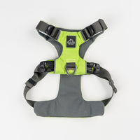 Everyday Adventure Dog Harness