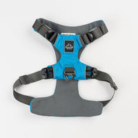 Everyday Adventure Dog Harness