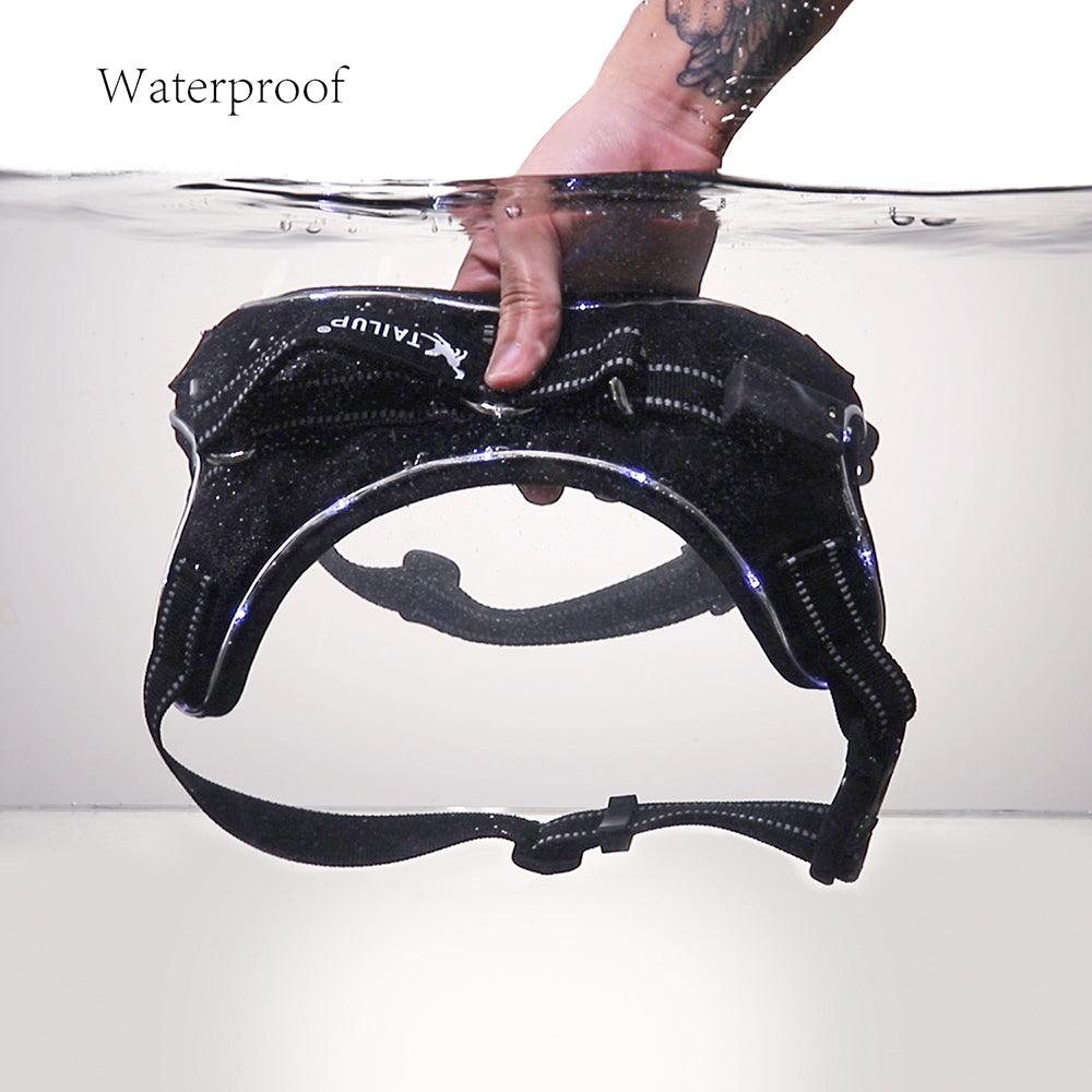 Luminous Canine Collar-3