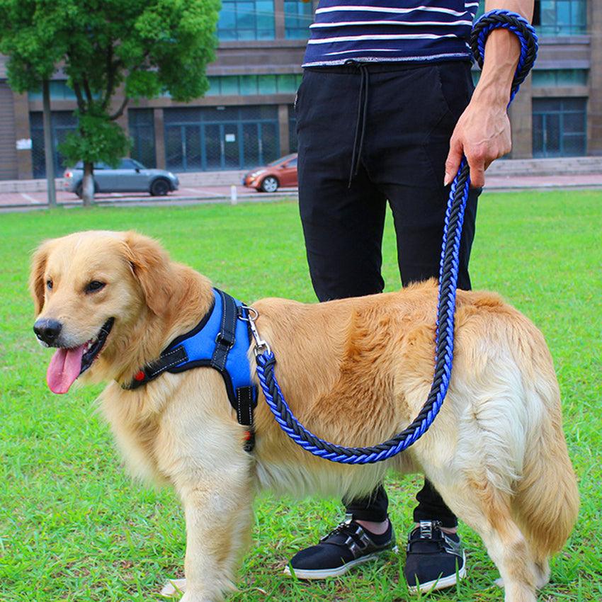 Ultimate Comfort Dog Harness