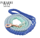 ROPE LEASH - OCEANSIDE RAINBOW