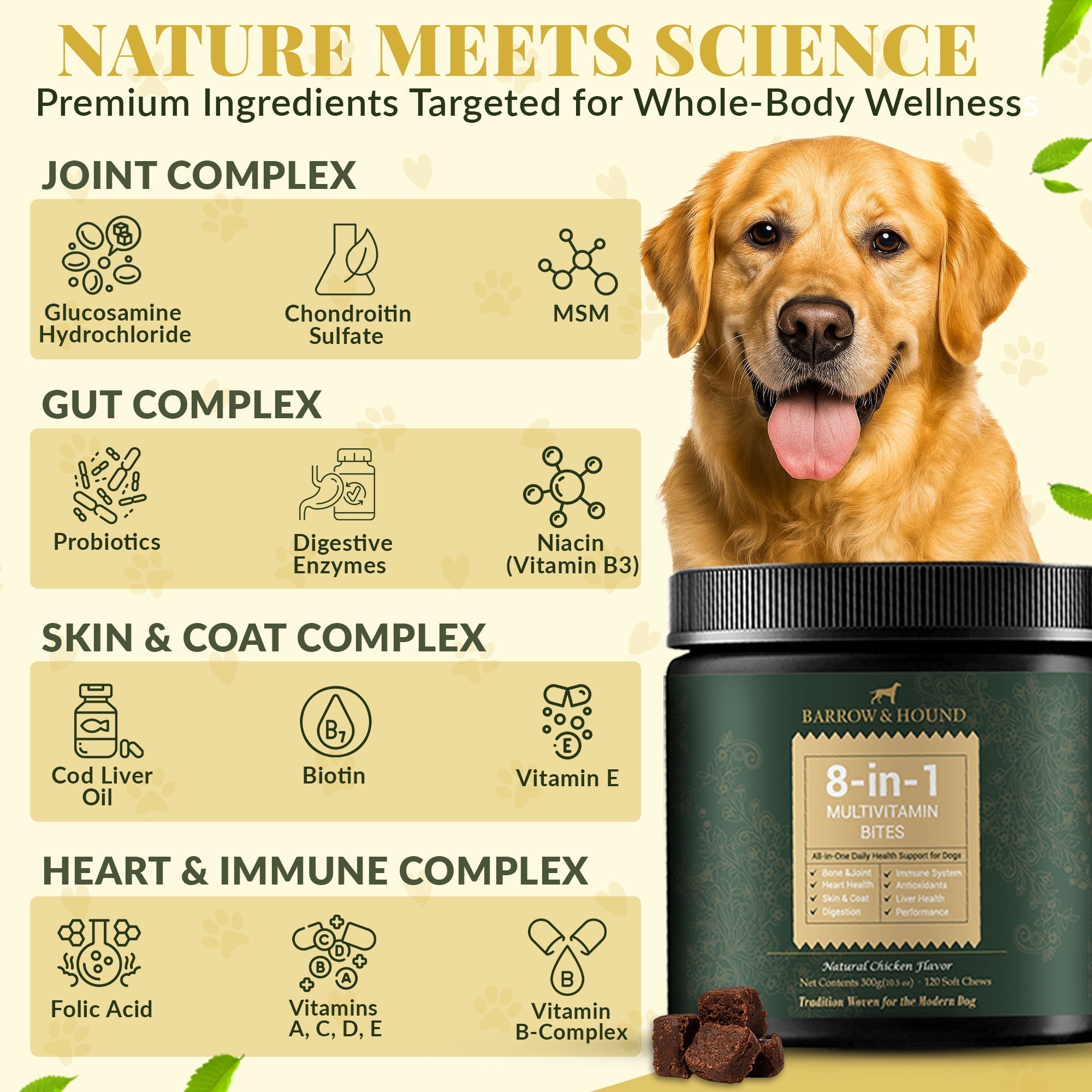 8-in-1 Daily Multivitamin Bites - Complete Health Support for Dogs