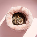 Cat Bed For Indoor Cats - 20 Inch Round Plush Pet Bed For Small Dogs & Cats Up To 11 Lbs, Cozy Donut Cuddler With Raised Rim & Anti-Slip Bottom, Washable Fluffy Calming Bed For Kittens & Puppies, Ideal Holiday & Birthday Gift by Tail chasers
