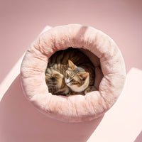Cat Bed For Indoor Cats - 20 Inch Round Plush Pet Bed For Small Dogs & Cats Up To 11 Lbs, Cozy Donut Cuddler With Raised Rim & Anti-Slip Bottom, Washable Fluffy Calming Bed For Kittens & Puppies, Ideal Holiday & Birthday Gift by Tail chasers