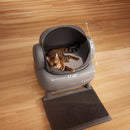 A0041edb2ef194106ab2b499de3e626c06