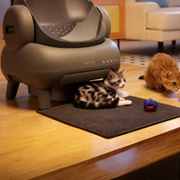 A70c2828d85b3435ea4efa7310bc20499x