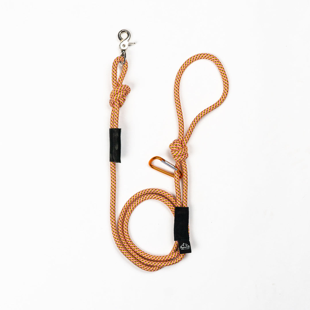 7MM Adventure Kernmantle Rope Dog Leash