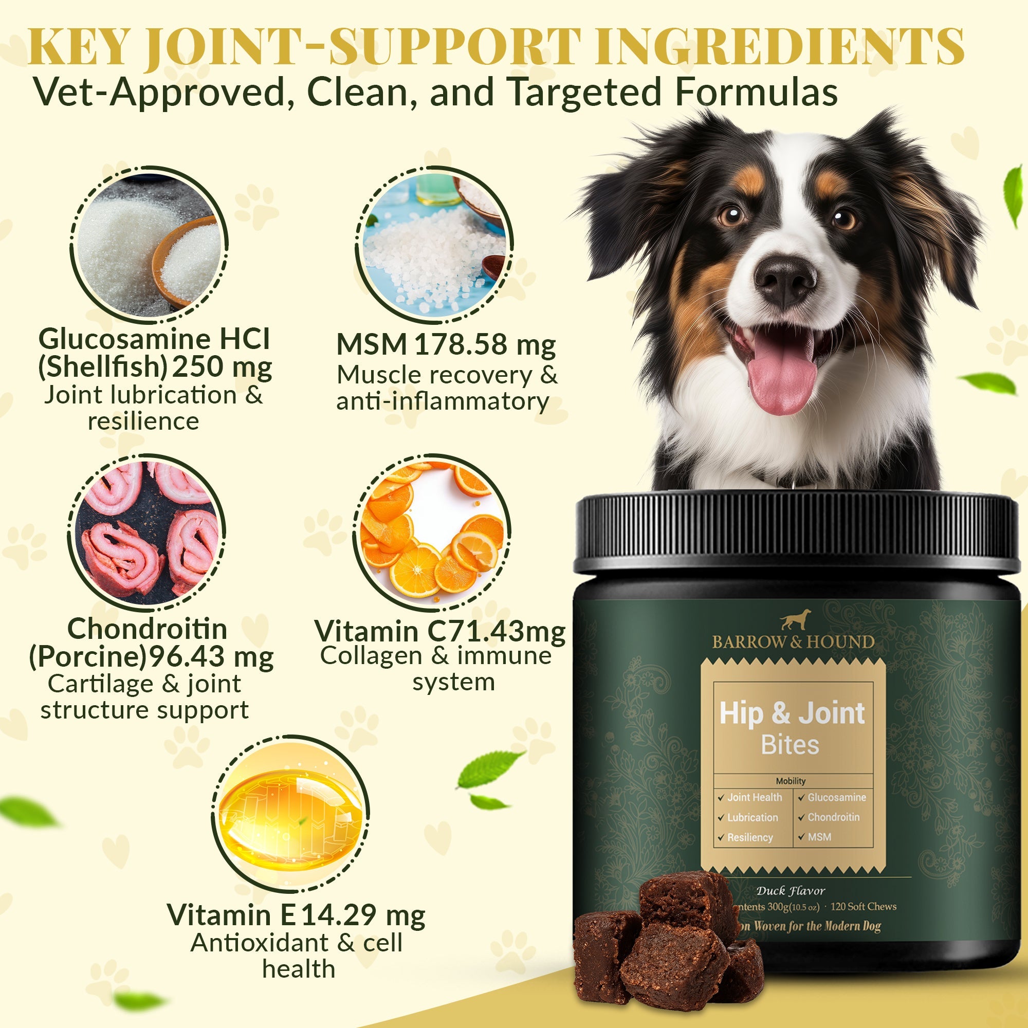 Hip & Joint Supplement for Dogs – Mobility Support for All Breeds