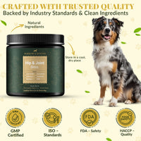 Hip & Joint Supplement for Dogs – Mobility Support for All Breeds