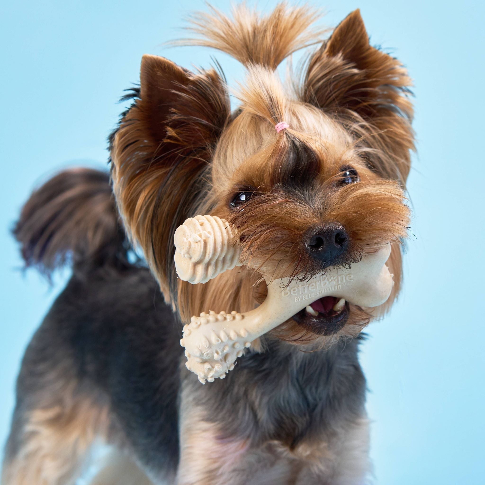 BetterBone SOFT Durability CHEW TOY: Natural Ingredients, Perfect for Teething Puppies, Senior Dogs & Gentle Chewers
