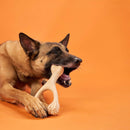 BetterBone HARD CHEW TOY: Natural Ingredients, eco-friendly, and ultra-durable chew for the toughest chewers!