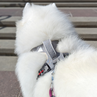 Magnetic Dog Harness