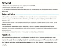 Complete Dog Toy Kit