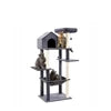 60-Inch Indoor Cat Tower with Multi-Level Perch by Tail chasers