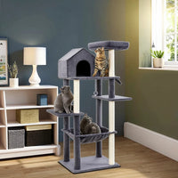 60-Inch Indoor Cat Tower with Multi-Level Perch by Tail chasers