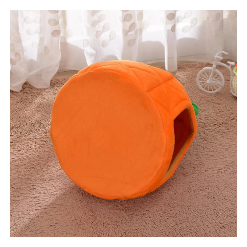 HTB1rTpiayzxK1RjSspjq6AS