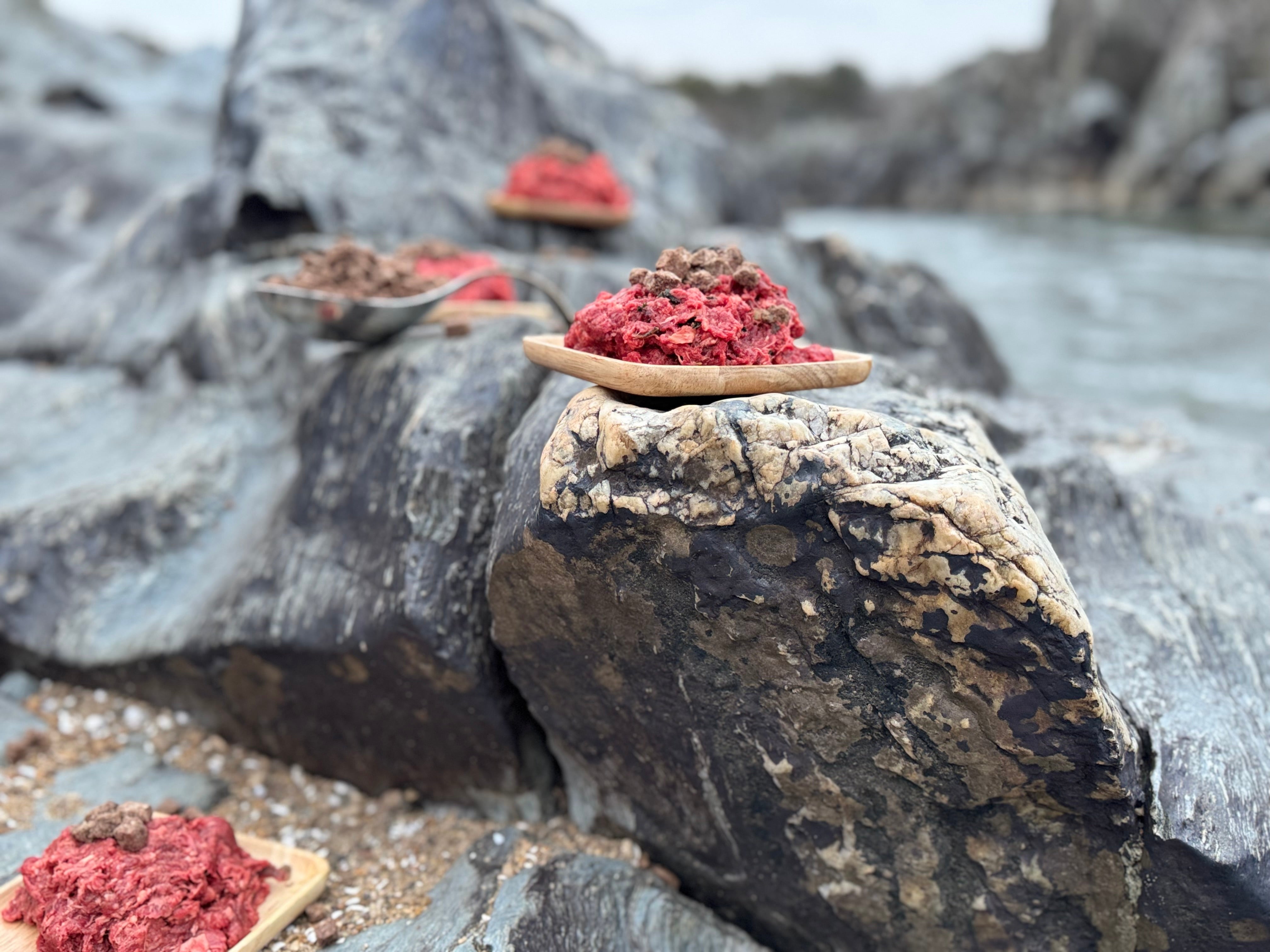 Freeze Dried Raw Dog Food - Muscle Blend (Large Batch)