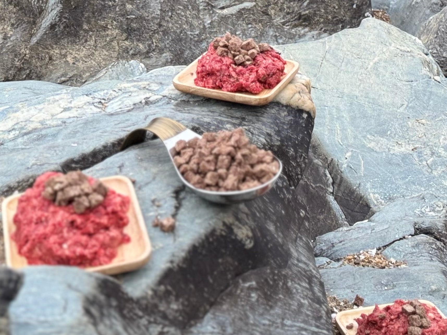 Freeze Dried Raw Dog Food - Muscle Blend (Large Batch)