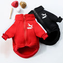 Small Dog Warm Hoodie - Autumn & Winter Clothing