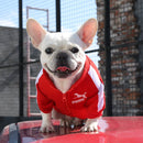 Trendy Dog Clothes - French Bulldog Fashion Collection